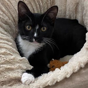 Meet your Posher, Laura